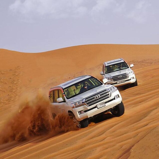 Desert Safari